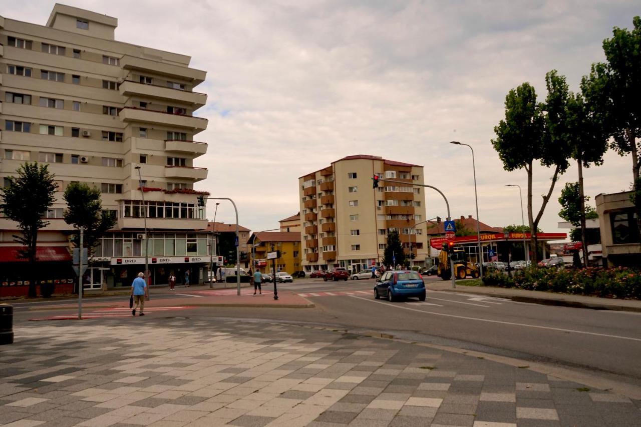 Apartament Viorela Alba Iulia Esterno foto